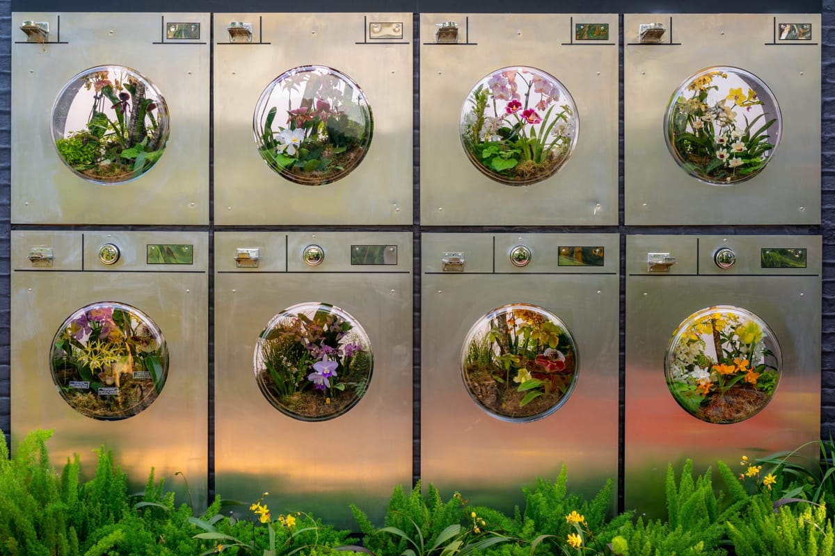A Tour Inside the NY Botanical Garden’s Trippy Orchid Show