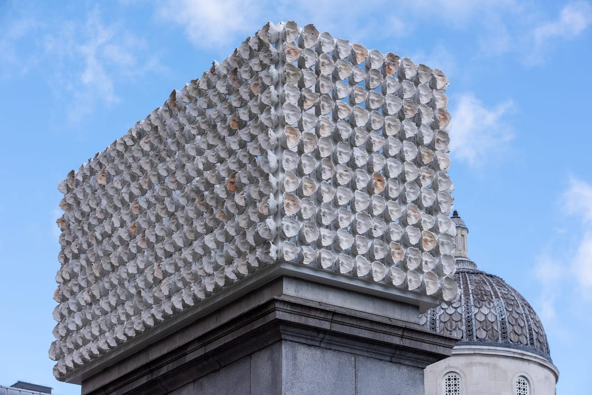 First US Survey of Mexican Artist Teresa Margolles Coming This Fall