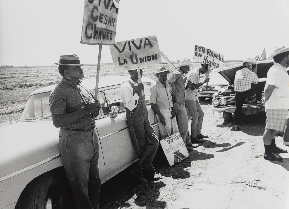 I'm a Chicana Curator. This Is Why I Removed Cesar Chavez From My Show