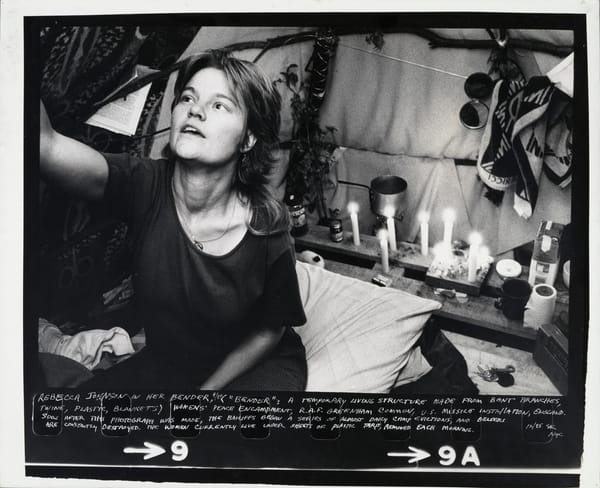 Raw Material: The Art and Life of Susan Kleckner