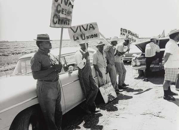 I'm a Chicana Curator. This Is Why I Removed Cesar Chavez From My Show